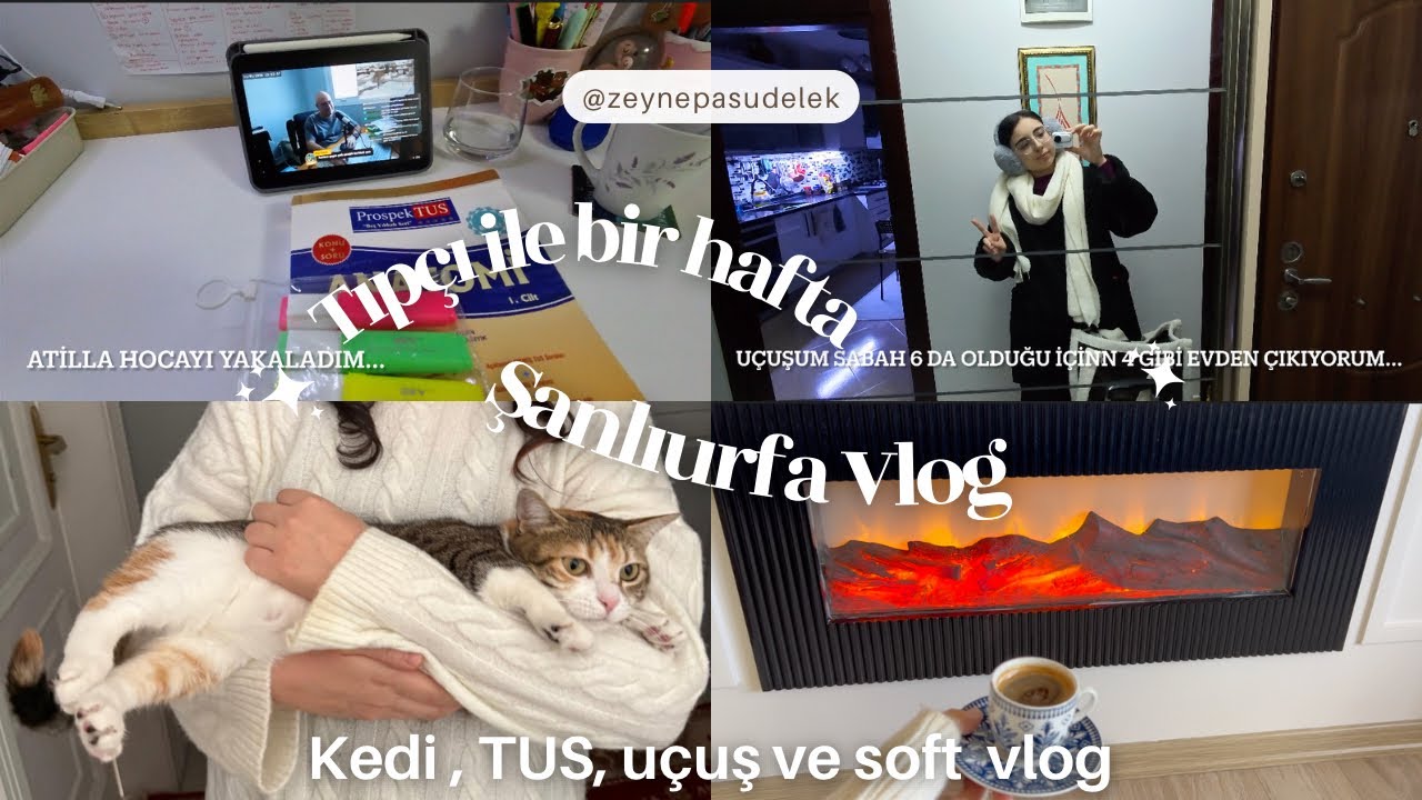 Tıp öğrencisiyle tatil haftası Vlog / TUS, kedi, Şanlıurfa yolculuk, anatomi☕️