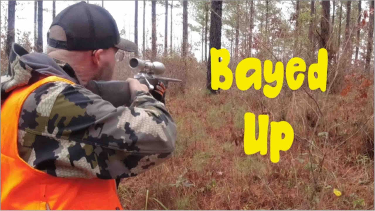 Jack Russell Terrier 🐶 Bayed A Live Whitetail Deer!