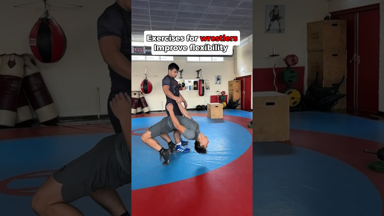 Exercises for WRESTLERS to improve mobility