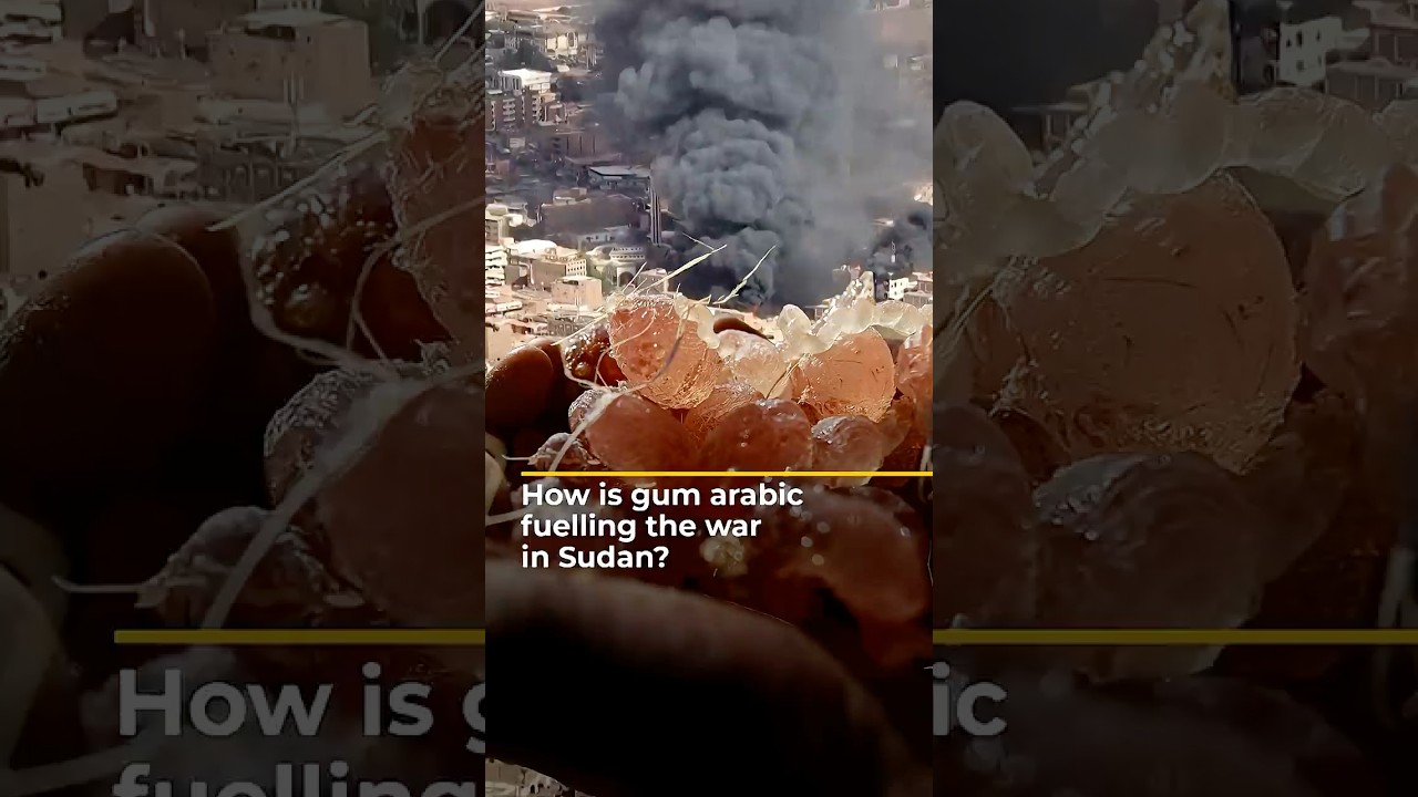 How is gum arabic fuelling the war in Sudan? | AJ 