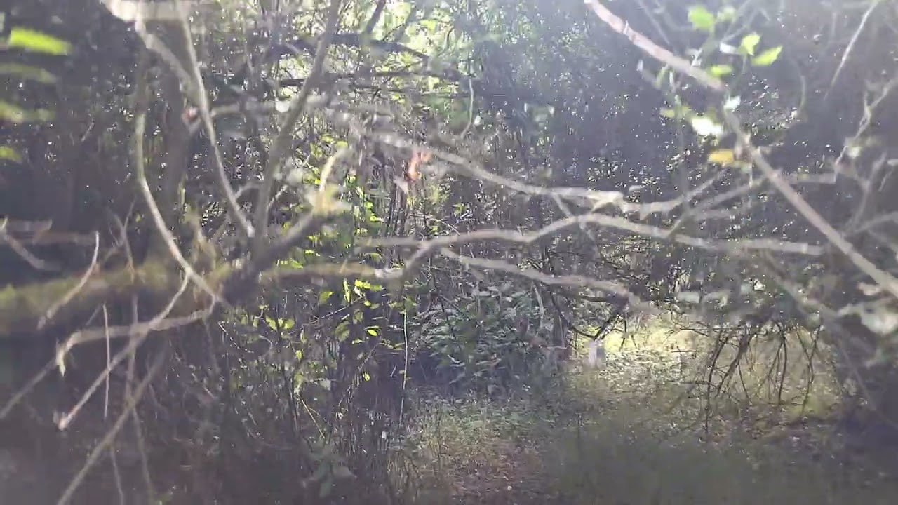 CAMINATAS Y AVENTURAS AL EXTREMO SEÑORES MUCHAS BEDICIONES A TODOS Y SUSCRIBETE