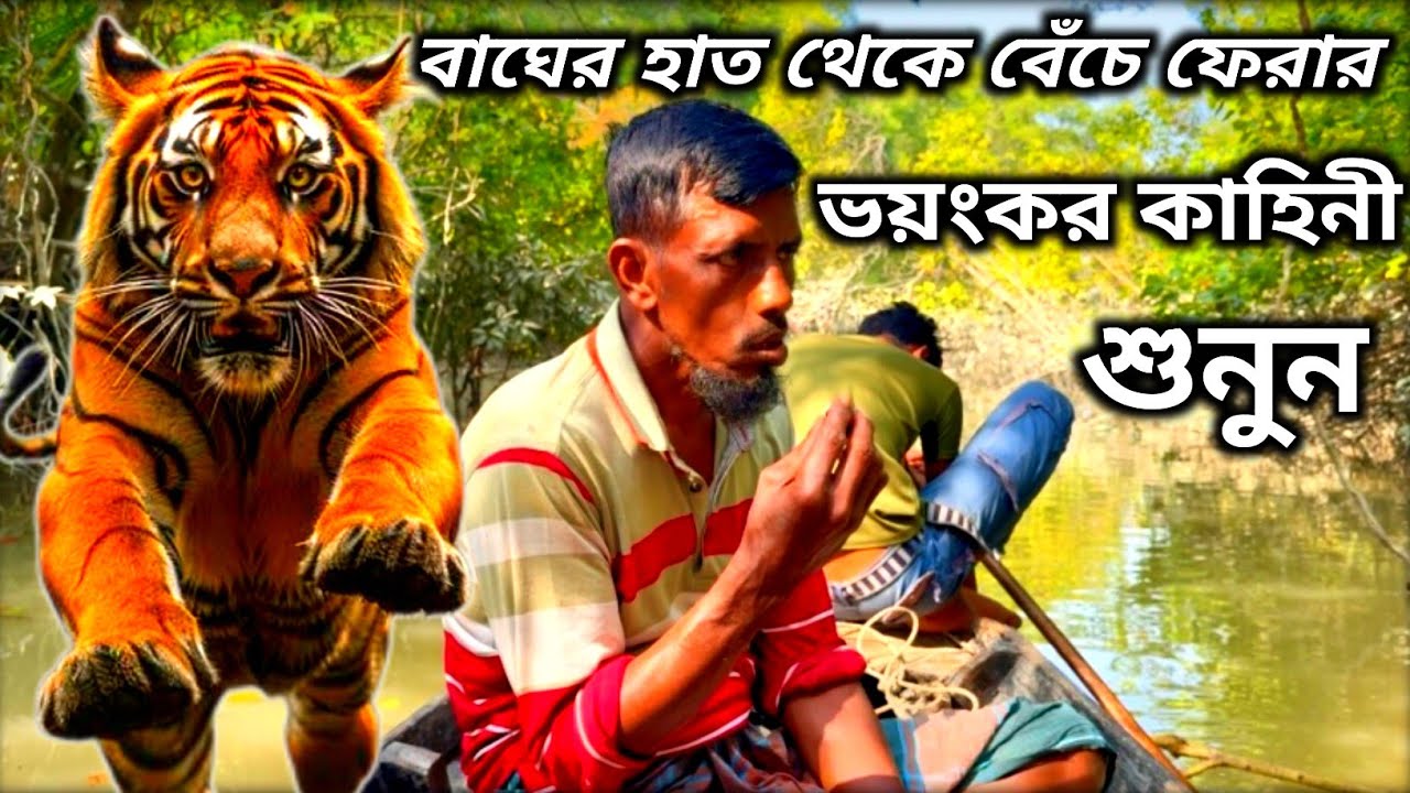 বাঘের সঙ্গে ভয়ংকর লড়াই করে বেঁচে ফেরার লোমহর্ষক ঘটনা | Sundarban Tiger Attack | বাঘে–মানুষে লড়াই