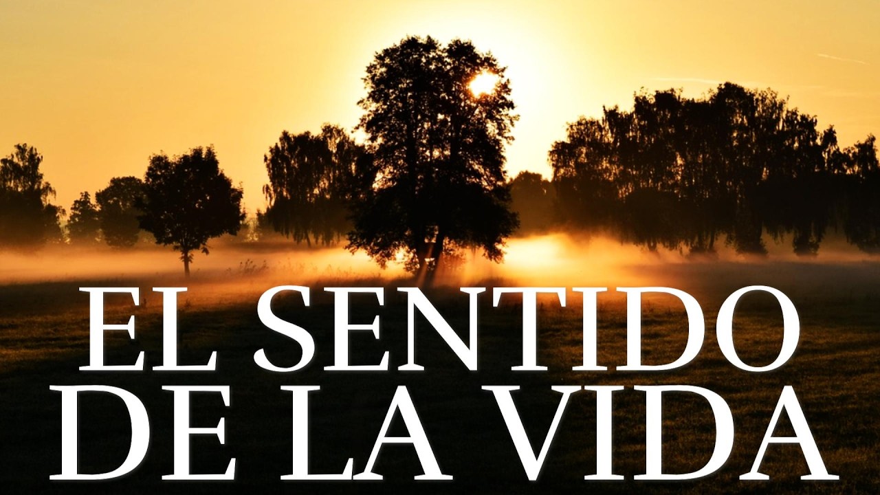 DALE Sentido a Tu Vida ¦ Reflexiones De La Vida