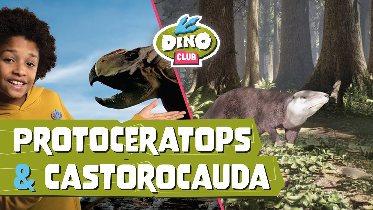 Dino Club | Proteceratops & Castorocauda | Full Episode