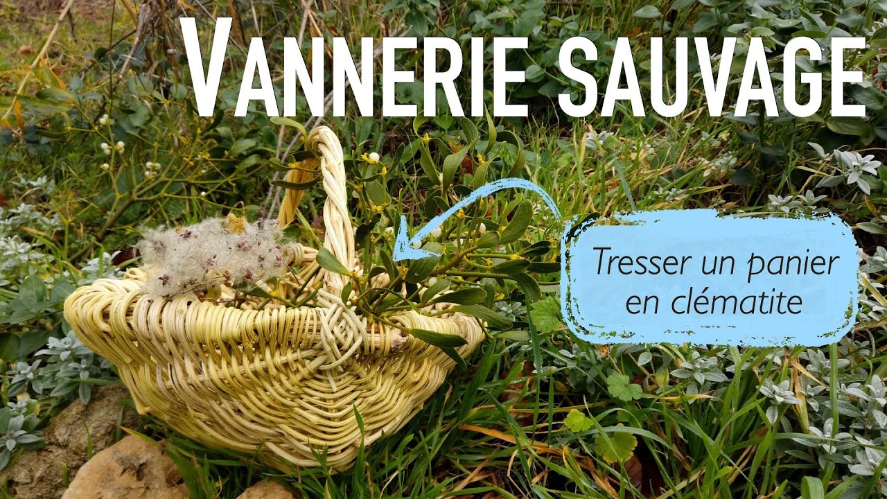SAVOIR-FAIRE #2 - Comment tresser un panier en clématite?