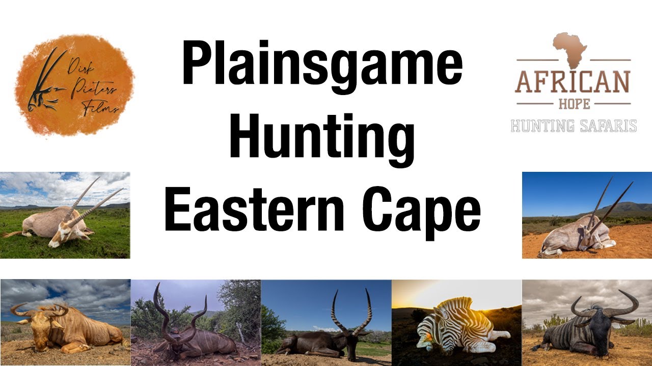 Epic Plainsgame Hunt at African Hope Hunting Safaris