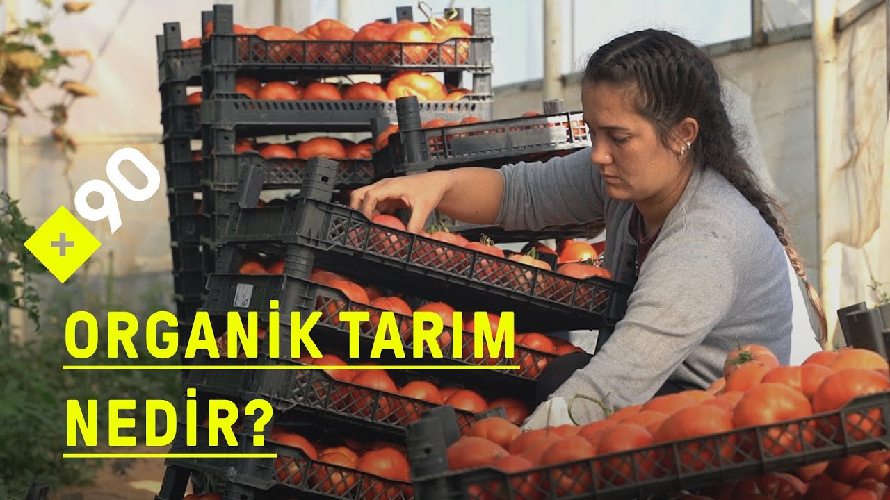 Organik tarım nedir? 
