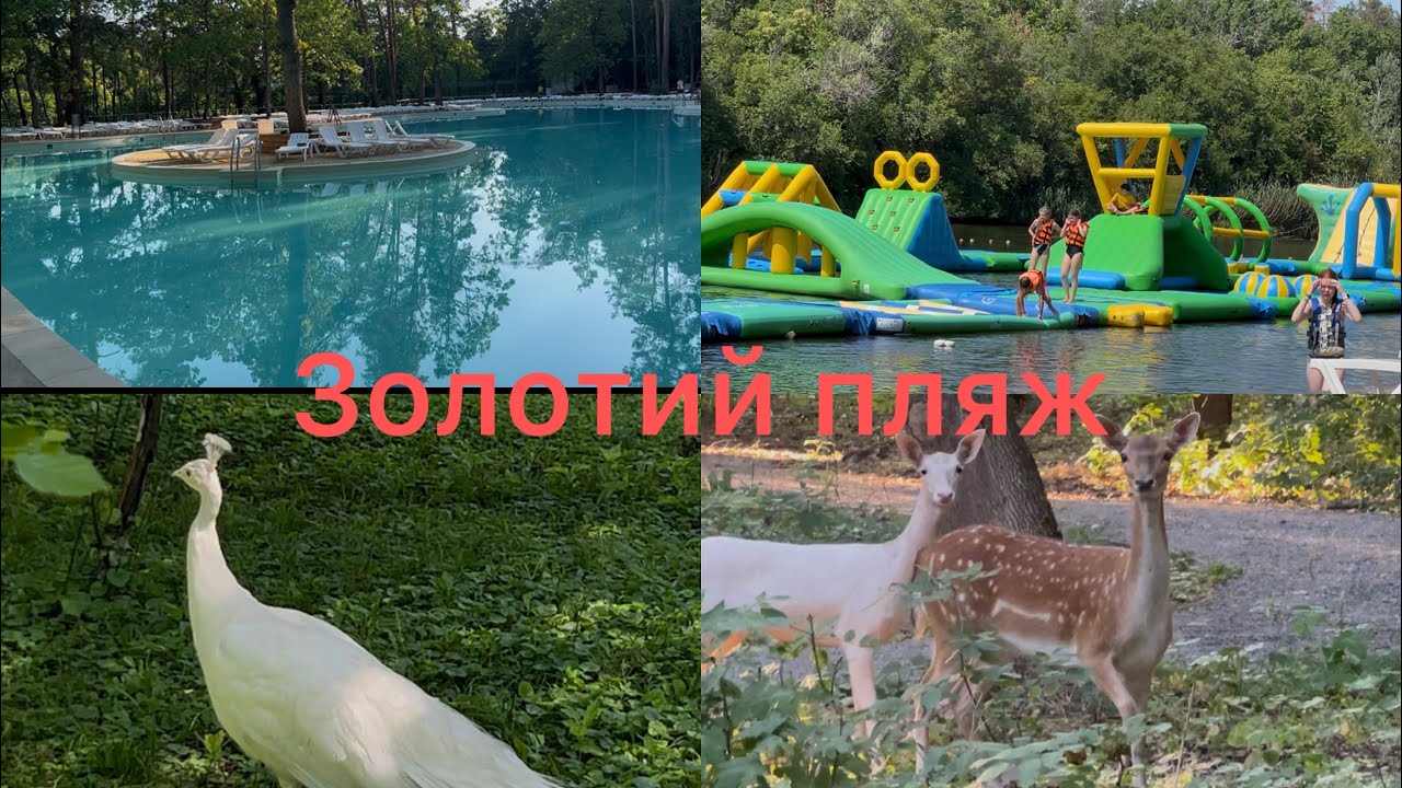 Незвичайний ранок/ сімейний відпочинок  /Золотий пляж/ день другий