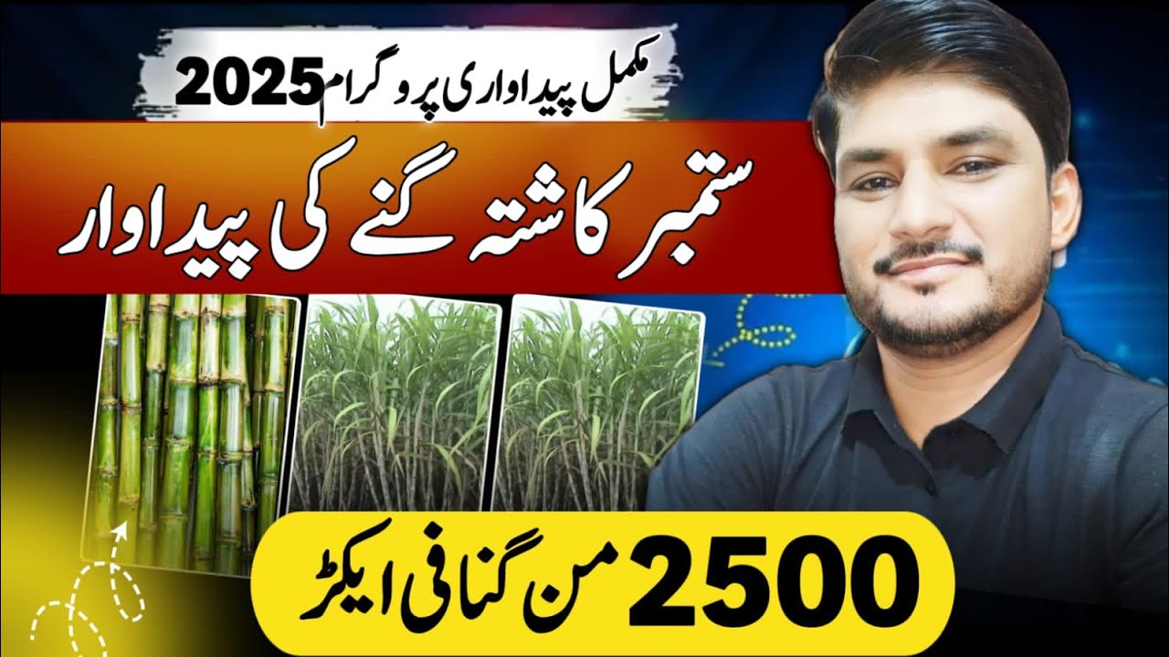 Latest Sugarcane Production Technology 2025 | Fertilizer Plan.