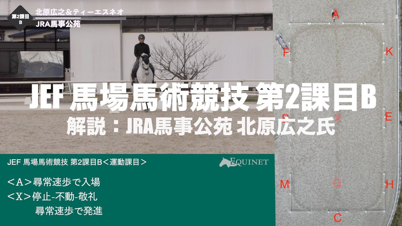 JEF 馬場馬術競技 第2課目B 令和4年11月14日 施行