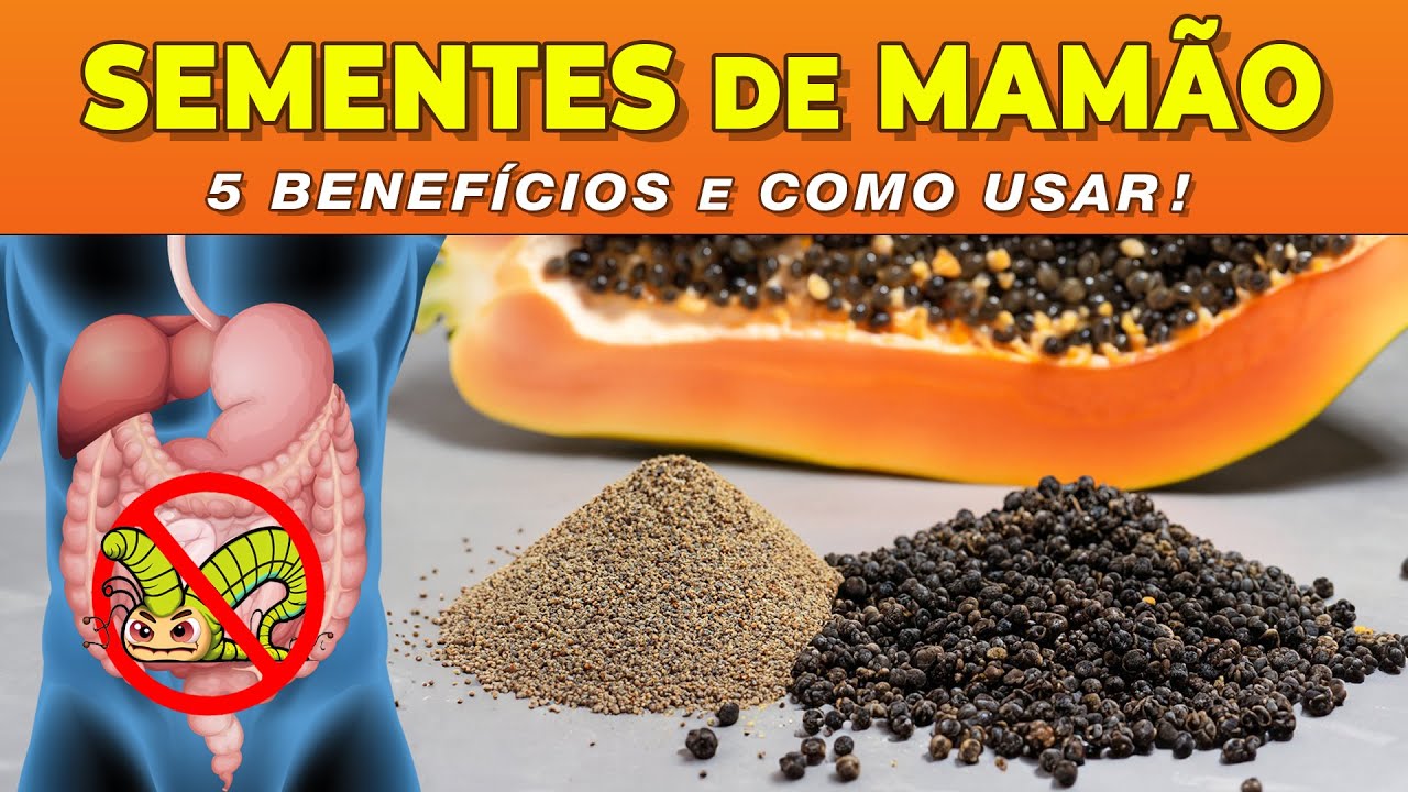 5 Benefícios das SEMENTES DE MAMÃO e Como Usar CERTO - Receitas e Dicas