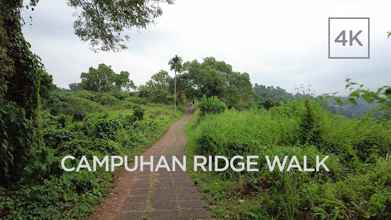 Day walk in Bali (Ubud) along JI. Raya Campuan to Campuhan Ridge Walk [4k]