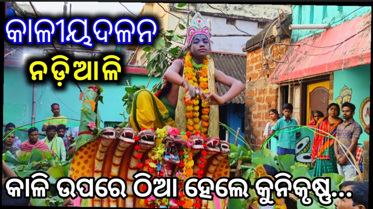 କାଳି ଉପରେ ଠିଆ ହେଲେ କୁନିକୃଷ୍ଣ // ନଡ଼ିଆଳି କାଳୀୟଦଳନ // Nadiali Kaliya Dalan, Nayagarh