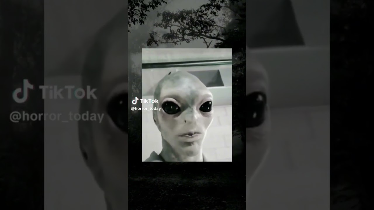 Un extraterrestre real 👽 