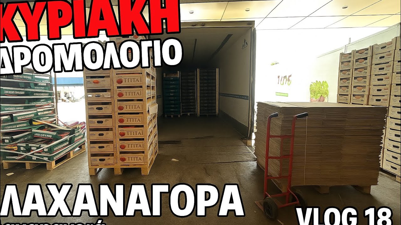 Κυριακάτικο Τρέξιμο στη Λαχαναγορά! Vlog 18