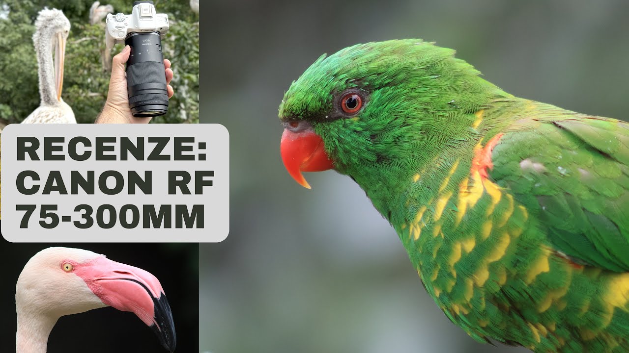 Canon RF 75-300mm F4-5.6 - recenze a 150 fotek z testu