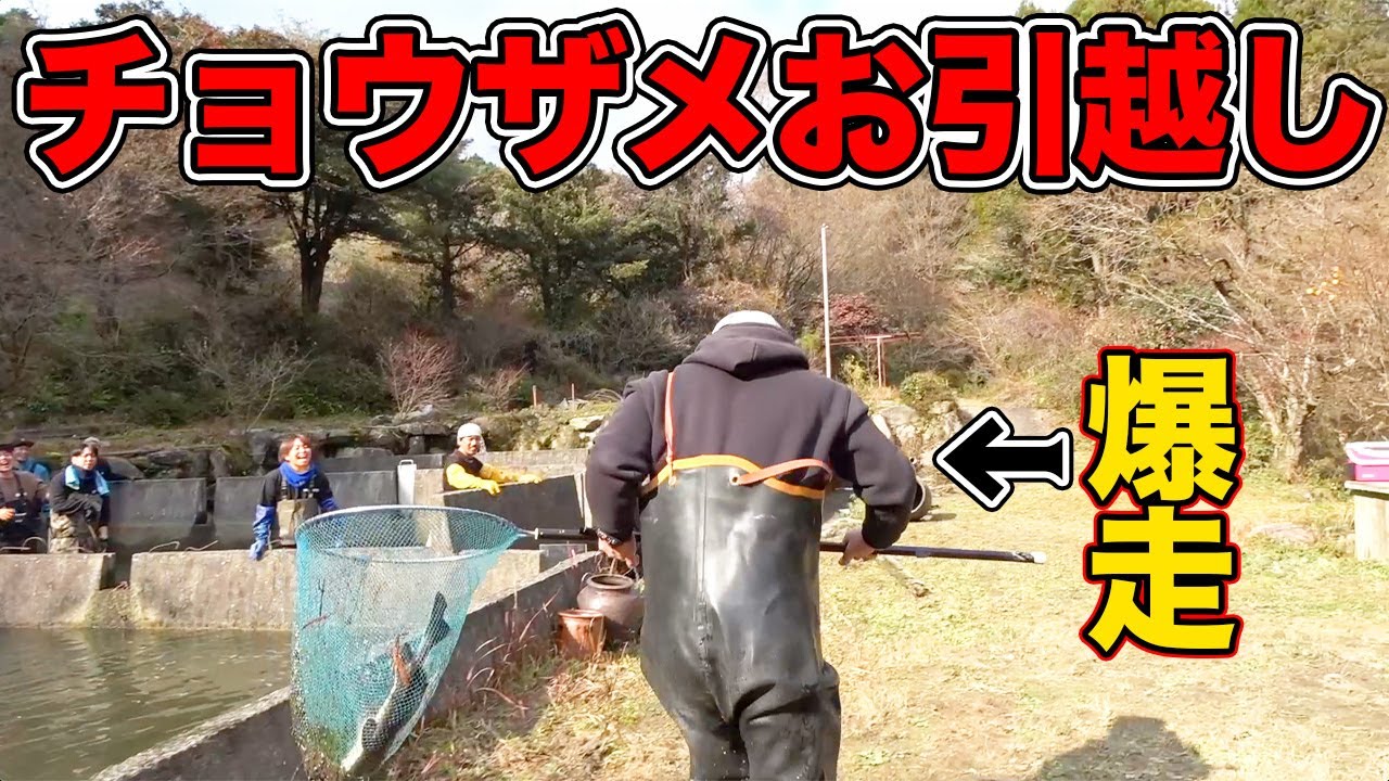 【山復興第2弾#21】特殊ミッション！？チョウザメを捕獲せよ！！