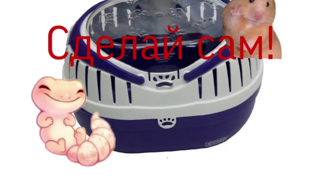 Как сделать переноску для хомяка и ящерицы? Сделай сам! За 5 минут Ч.О.