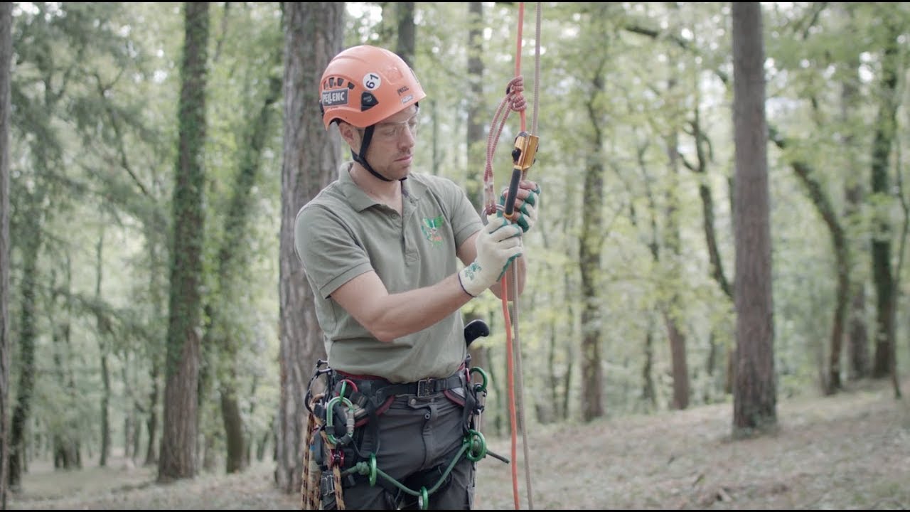 Risalita con doppia maniglia Ascentree Petzl
