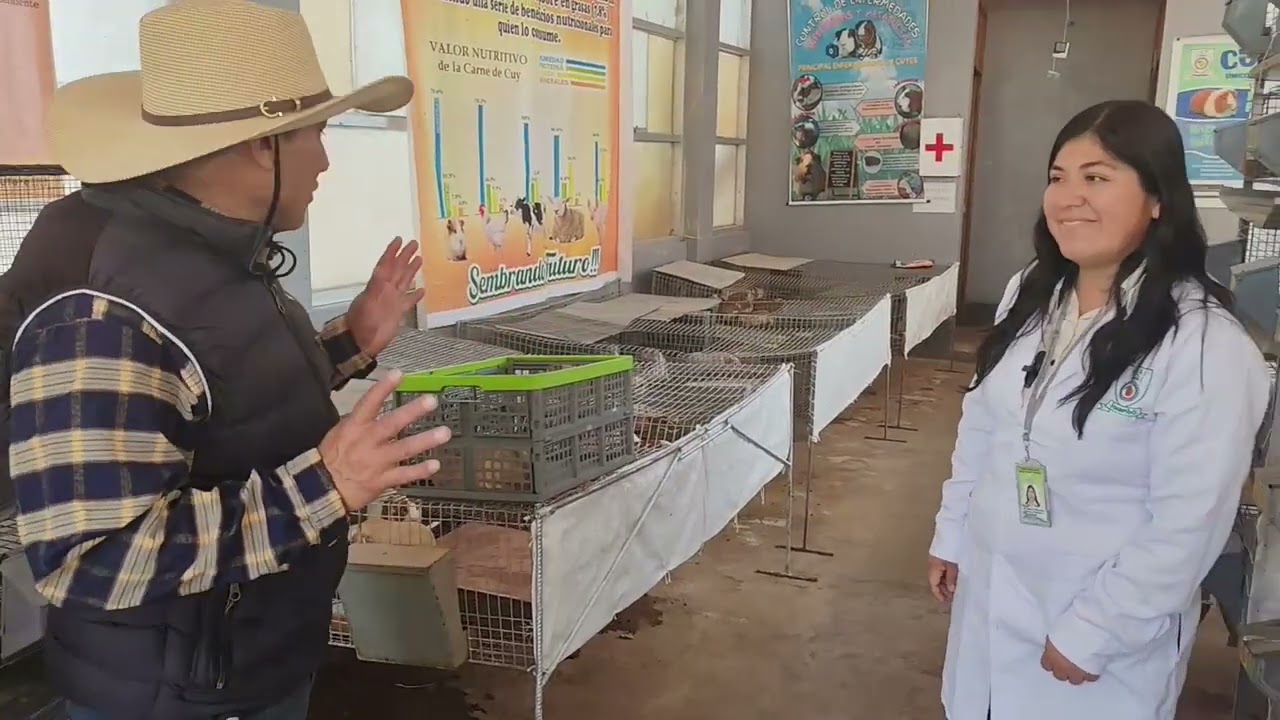 MANEJO EN LA CRIANZA DEL CUY - PARTE II