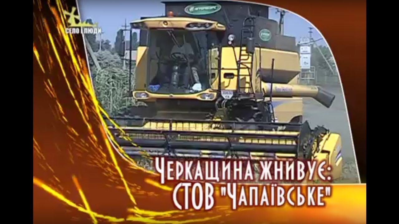 Село і люди: Черкащина жнивує: СТОВ 