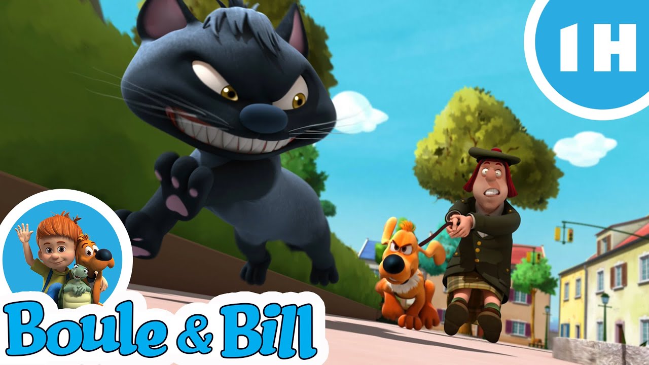 🐈 Boule et Bill passent du temps avec le chat Caporal 😁 - Nouvelle compilation Boule et Bill FR