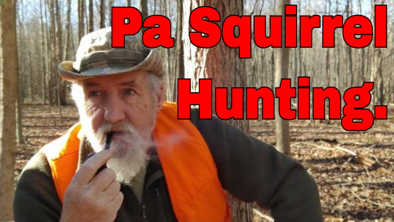 Охота на белку с CVA 32 Caliber Squirrel. #Дуглозарядноеружье​​​​​​​ #CVASquirrel