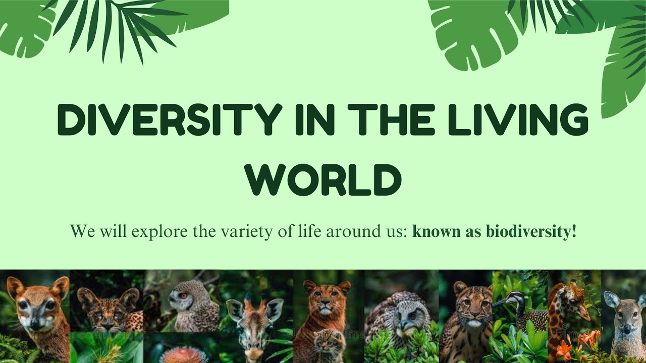 Diversity in the Living World: Class 6 Science | NCERT (Curiosity)