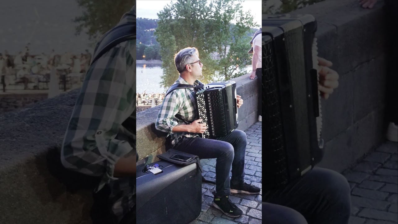 Accordion Music in Prague. Street Music on Charles Bridge