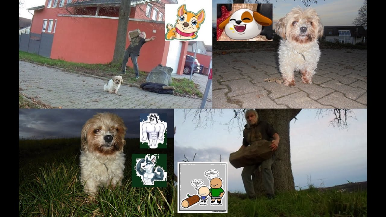 WEDNESDAY  EVENING WALK/Steinheben: c.a. 40 - 50 kg Stein schultern/Farmers Walk 50 kg plus👍🏻💪🏻😊🐶🪨🌳🍐