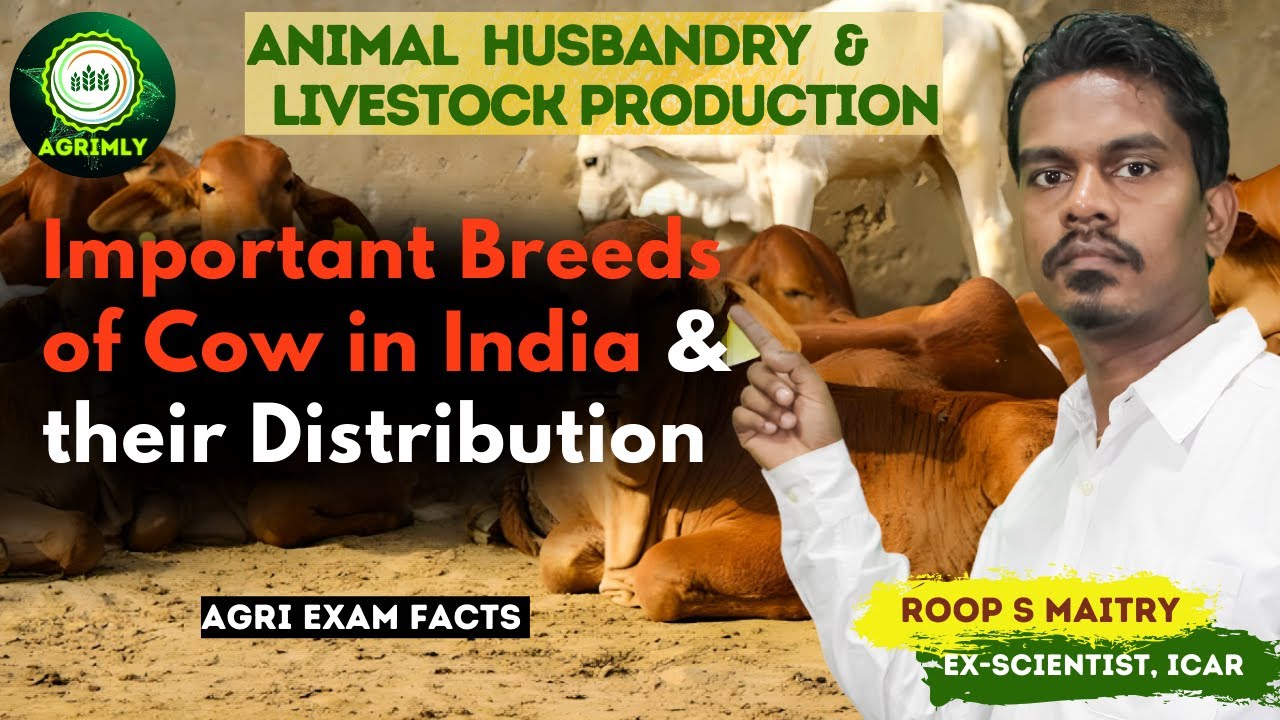 Important Breeds of Cow in India ll All Agri Exam like IBPS ICAR PG JRF SRF CUET by Maitry Sir