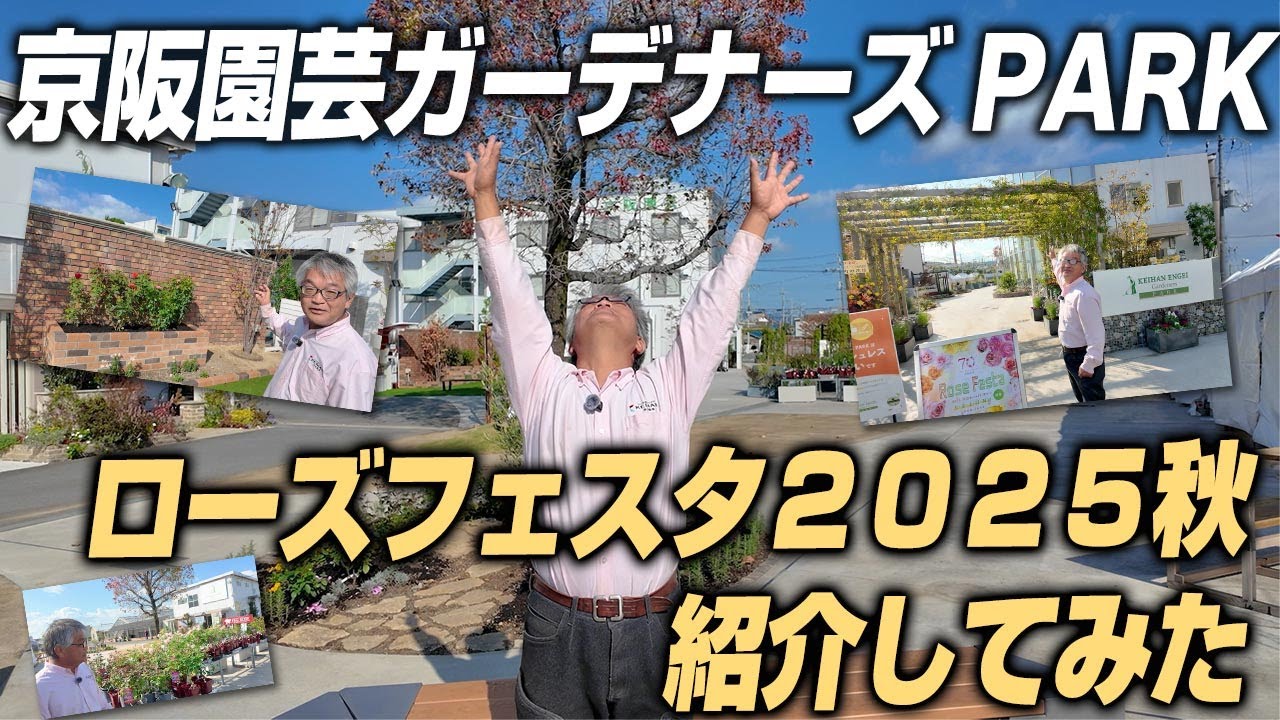 【京阪園芸ガーデナーズPARKご紹介】ガーデナーズが体験型PARKにリニューアル♪京阪園芸ガーデナーズ ローズフェスタ2025秋紹介してみた！(2025年11月7日)