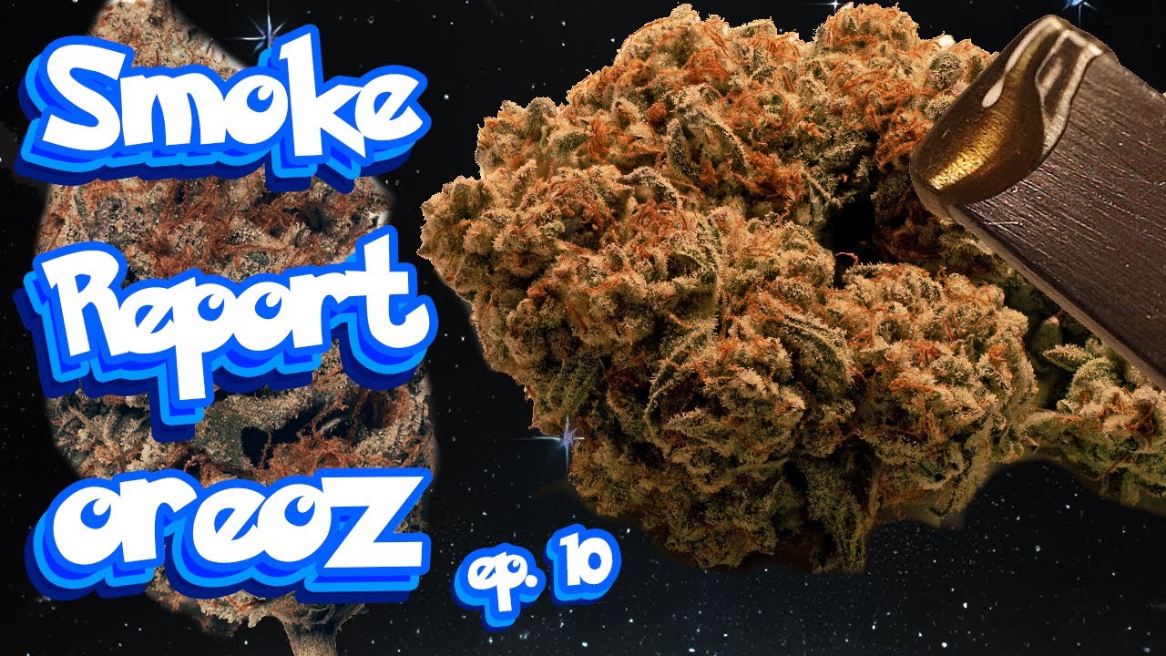 mephistOREOZ ROSIN Smoke Report FINALE + Flwr PT.2 ep. 10 #seedtoharvest #howtogrowweed #growyourown