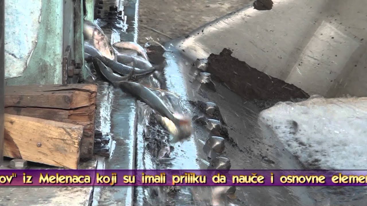 Melenci - Poribnjavanje jezera Peskara