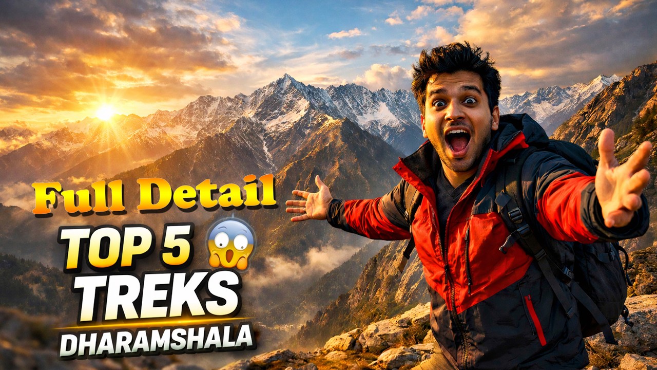 Best Treks Near Dharamshala (Beginner to Pro Guide)