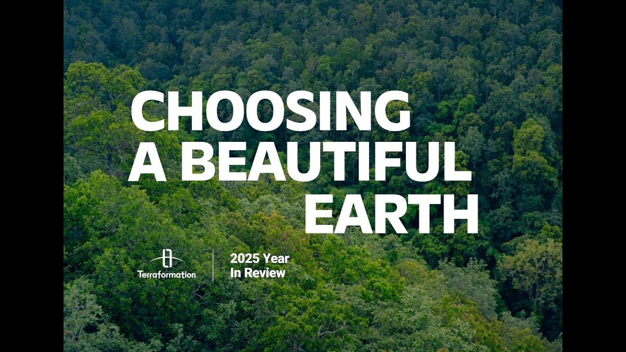 2025 Retrospective: Choosing a Beautiful Earth