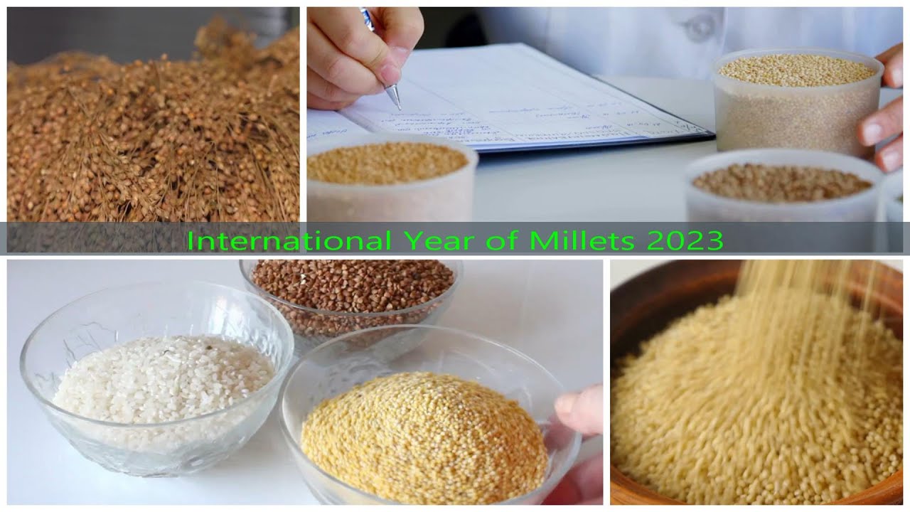 Why Millets Are the Future of Food: International Year of Millets Explained