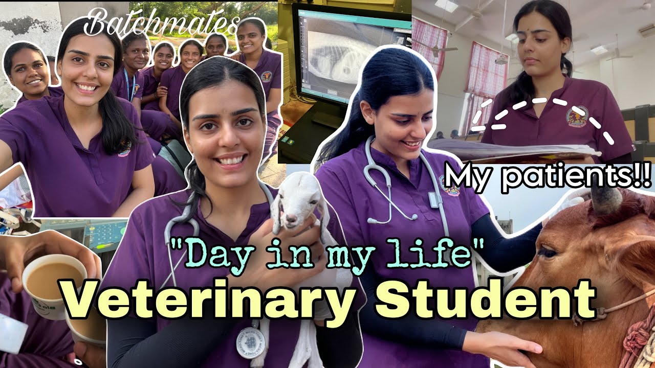 Day in life of a *Vet Student* 🩺🐾 My Ward duties, hostel life, exams 📖