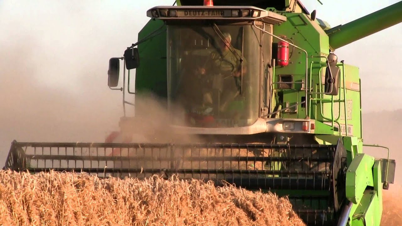 Deutz-Fahr TopLiner 4075 HTS HARVESTING MACHINE / Mähdrescher, Weizenernte in der Abendsonne, 2013.