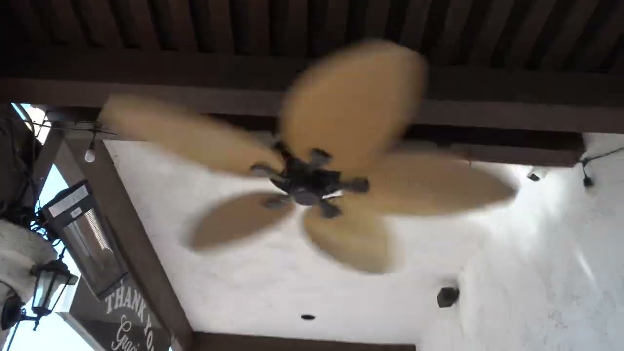 Honeywell palm island ceiling fan