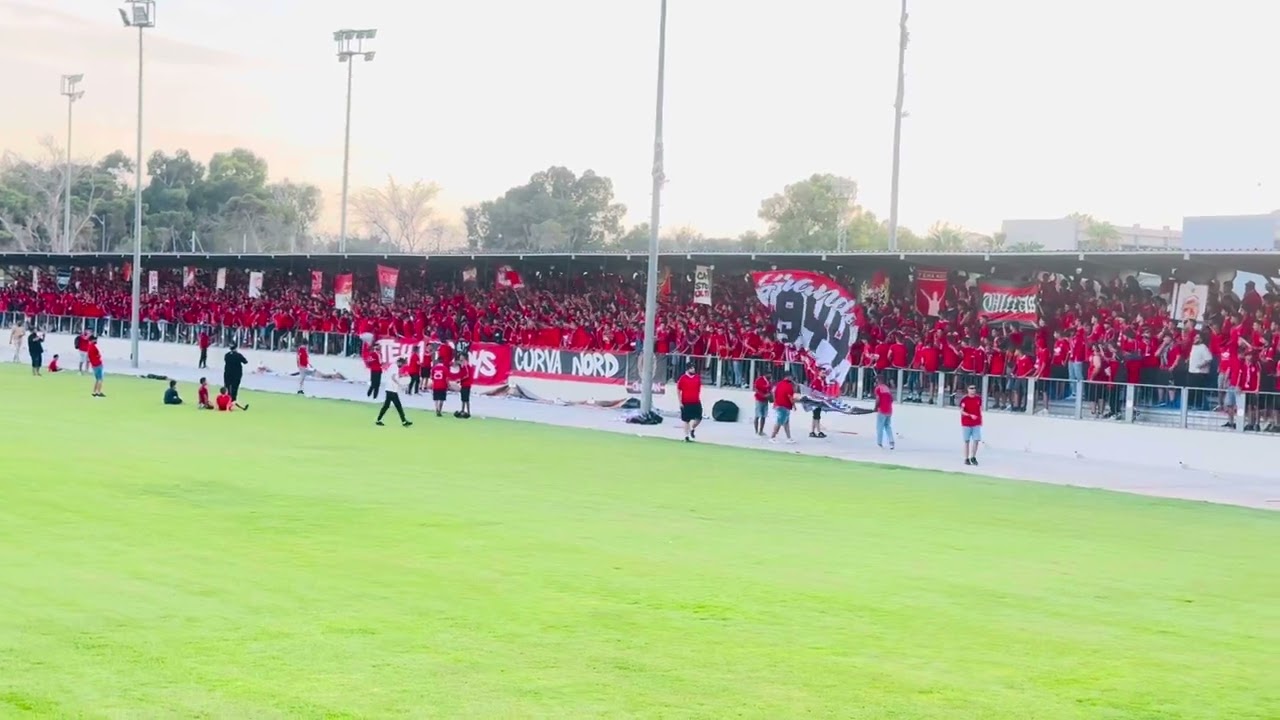 تيحا بويز 🔥❤️🤍