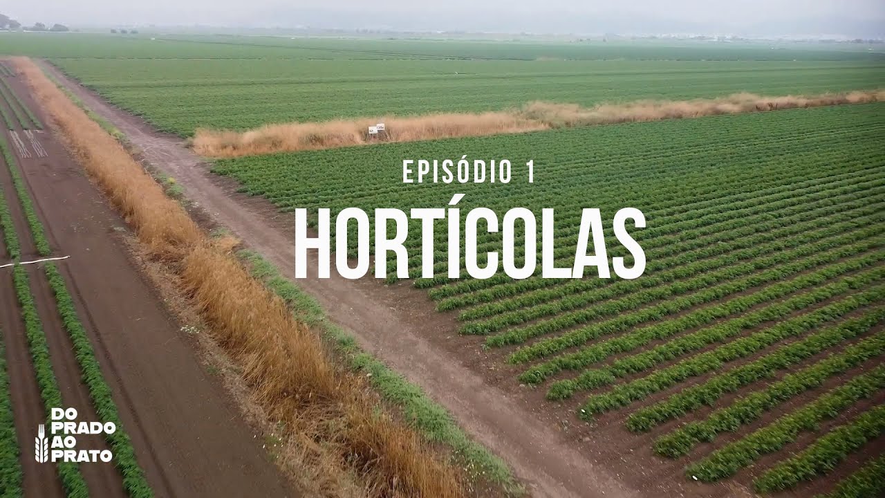 Do Prado ao Prato - Ep 1 ''HORTÍCOLAS''