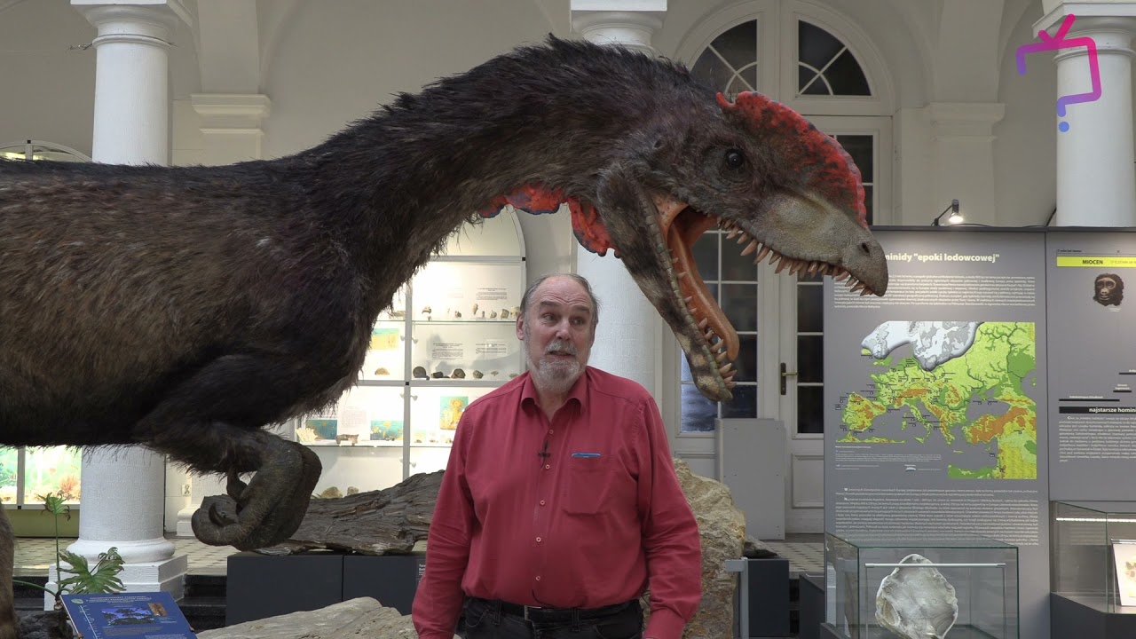 Dinozaury, najnowsze odkrycie w Polsce