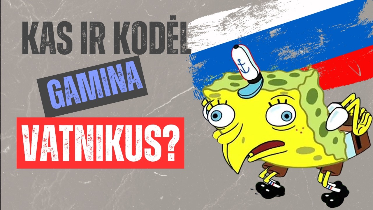 Kas ir kodėl gamina „vatnikus“?