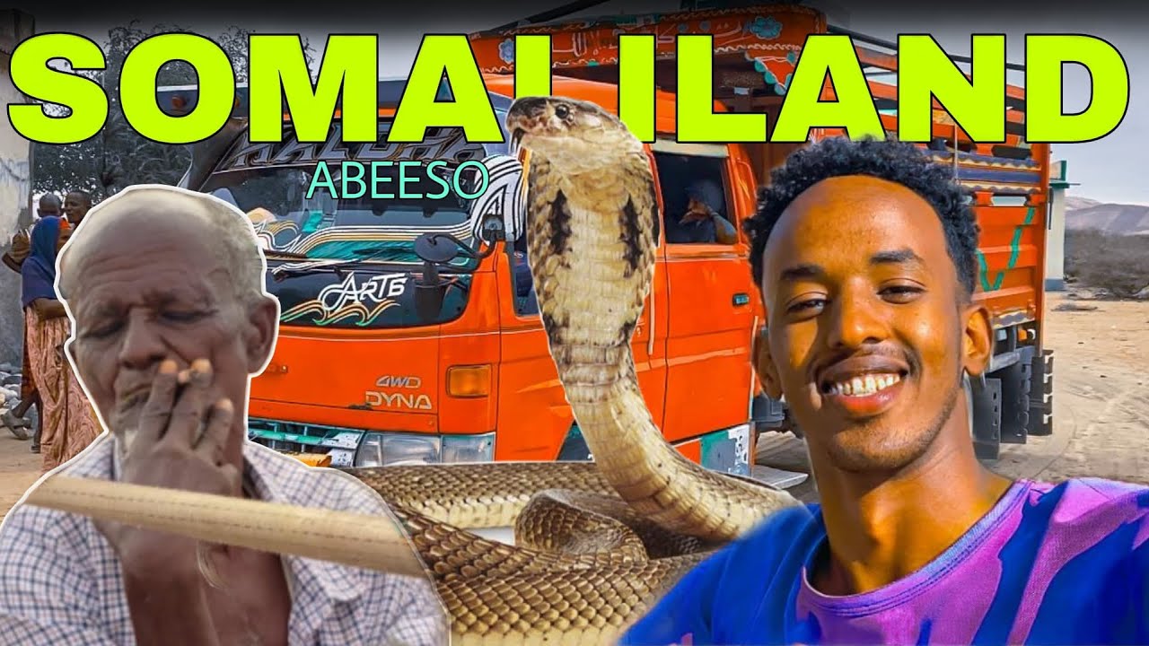 SAFARKAYGII DHULKA UGU ABEESADA BADAN SOMALILAND || BIRRO