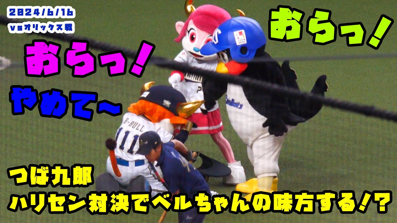 つば九郎　ハリセン対決で圧倒的にベルちゃんの味方する！？　2024/6/15 vsオリックス