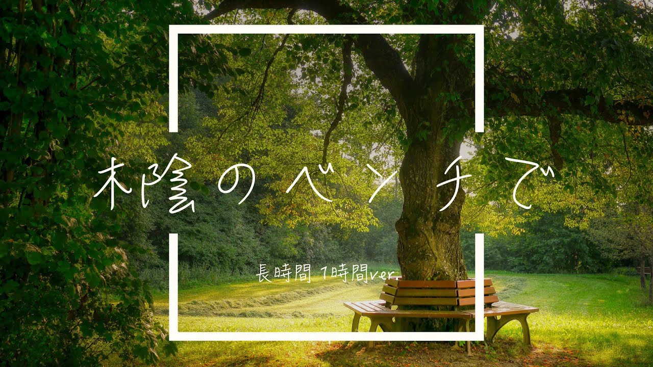 【フリーBGM】木陰のベンチで 1時間版【優しいギター/作業用BGM】