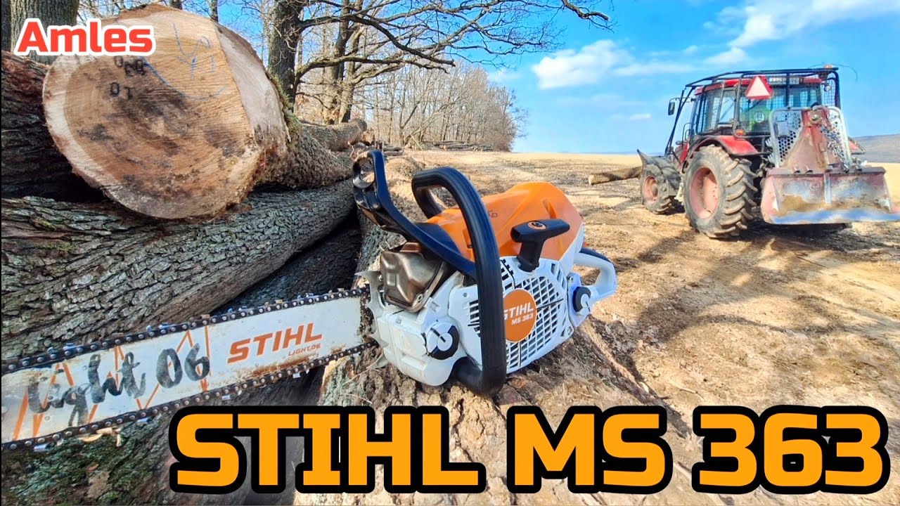 Заготовка твёрдой древесины | Stihl 363 в действии 🌳🪚