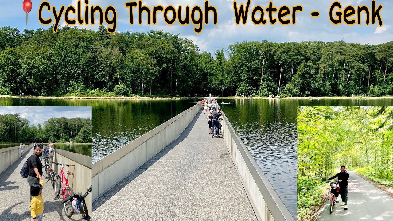 🇧🇪 Cycling Through Water and the Trees, Bokrijk - Belgium | Fietsen Door Het Water