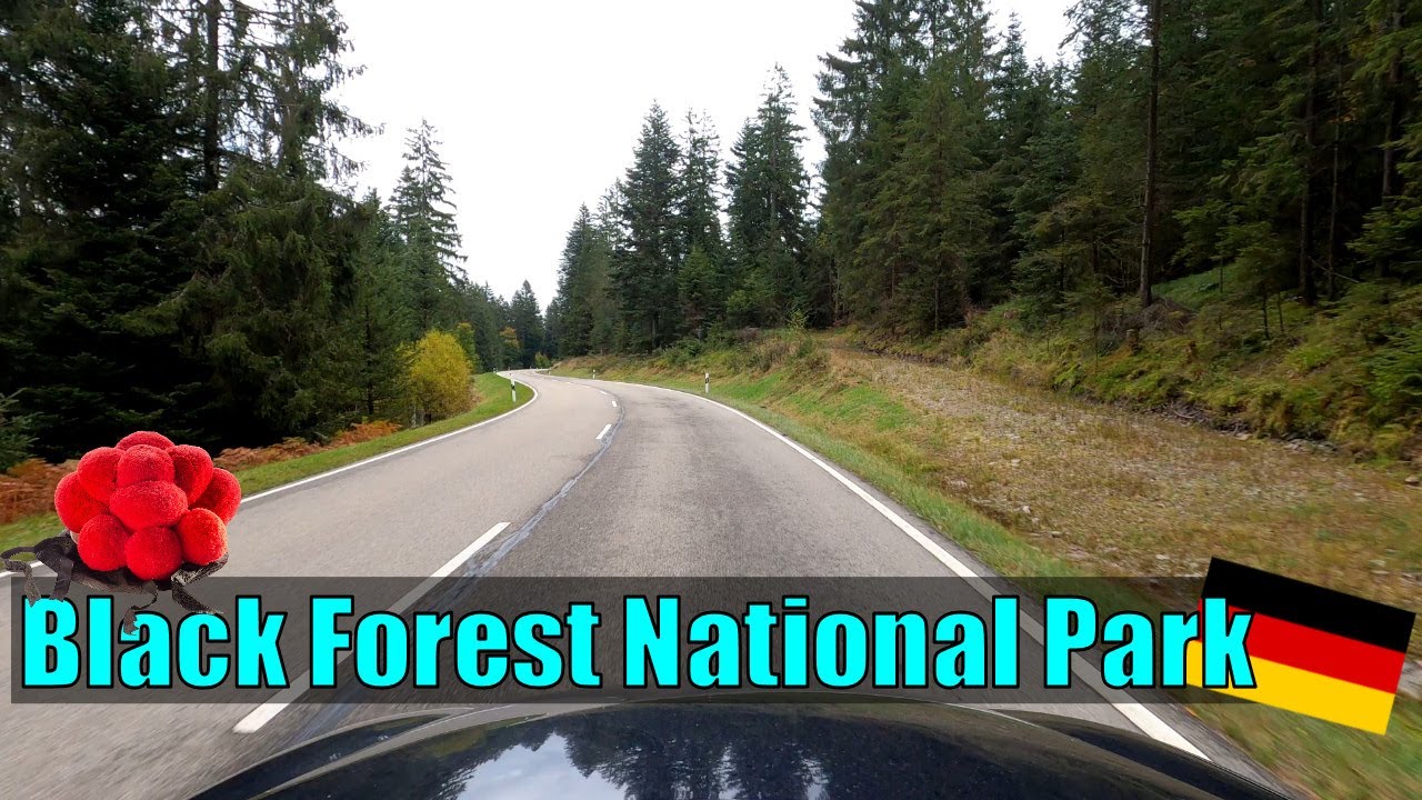 Scenic Drive | Black Forest National Park #1| [autumn, dry, cloudy]